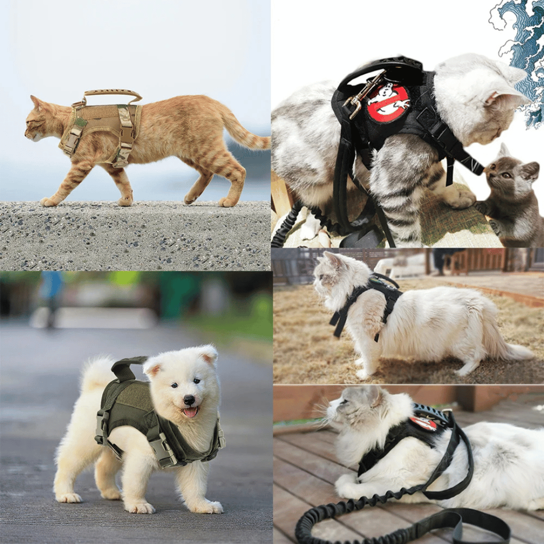 Military-Style Tactical Cat Harness & Leash
