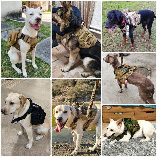 Heavy-Duty Military-Style Dog Harness