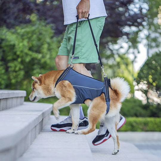 Dog Lift Harness for Injured & Senior Dogs with Arthritis