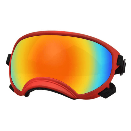 UV-Protective & Windproof Dog Sunglasses