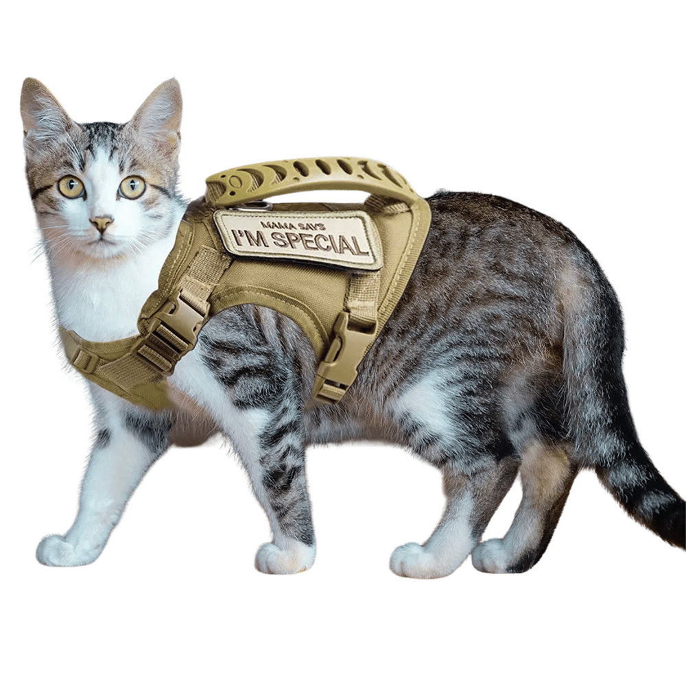 Military-Style Tactical Cat Harness & Leash