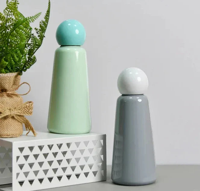 Stainless Steel Insulated Water Bottle