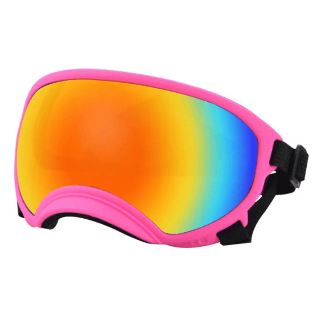 UV-Protective & Windproof Dog Sunglasses