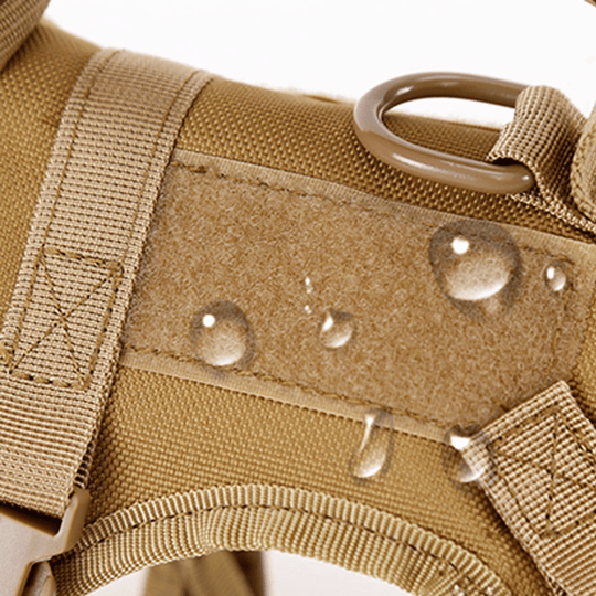 Military-Style Tactical Cat Harness & Leash