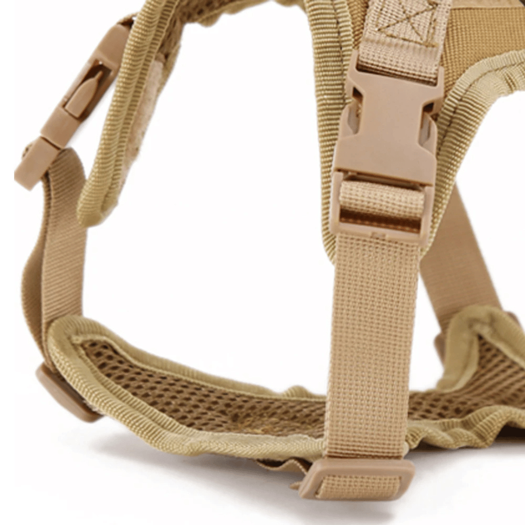 Military-Style Tactical Cat Harness & Leash