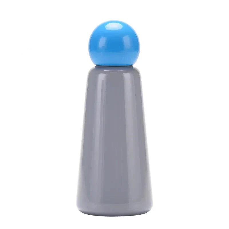 Stainless Steel Insulated Water Bottle