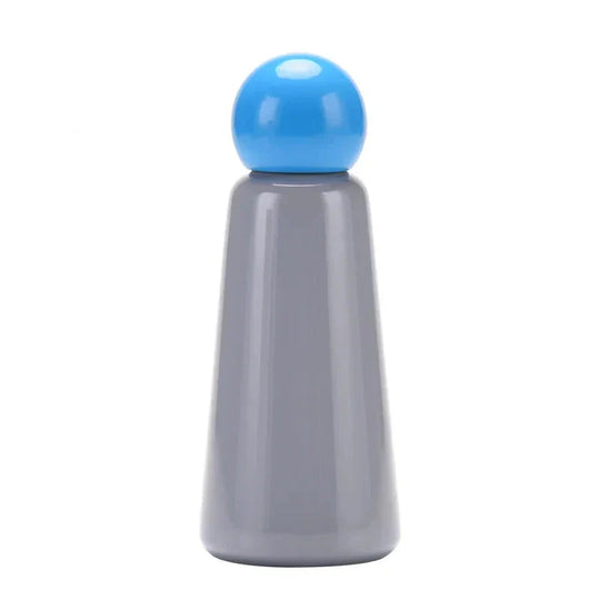 Stainless Steel Insulated Water Bottle