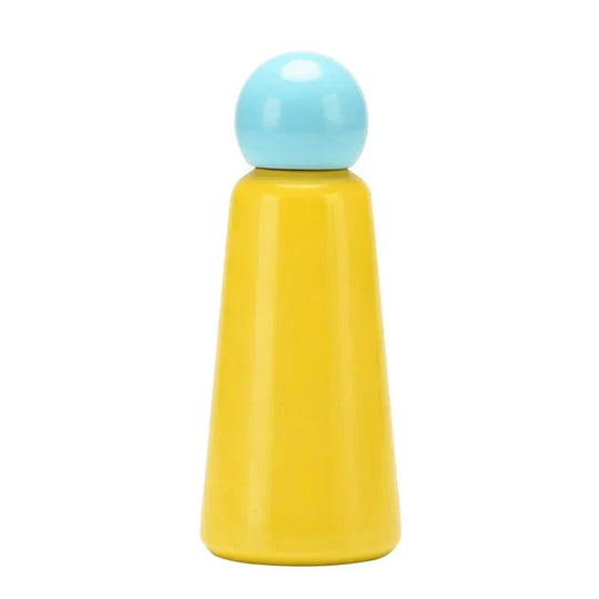 Stainless Steel Insulated Water Bottle