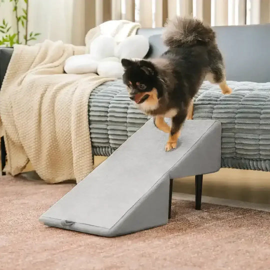 2-in-1 Dog Ramp and Step Stool