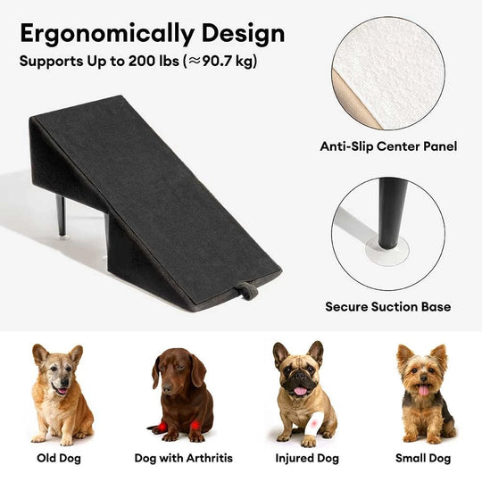 2-in-1 Dog Ramp and Step Stool