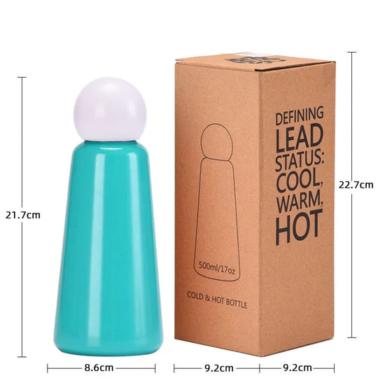 Stainless Steel Insulated Water Bottle