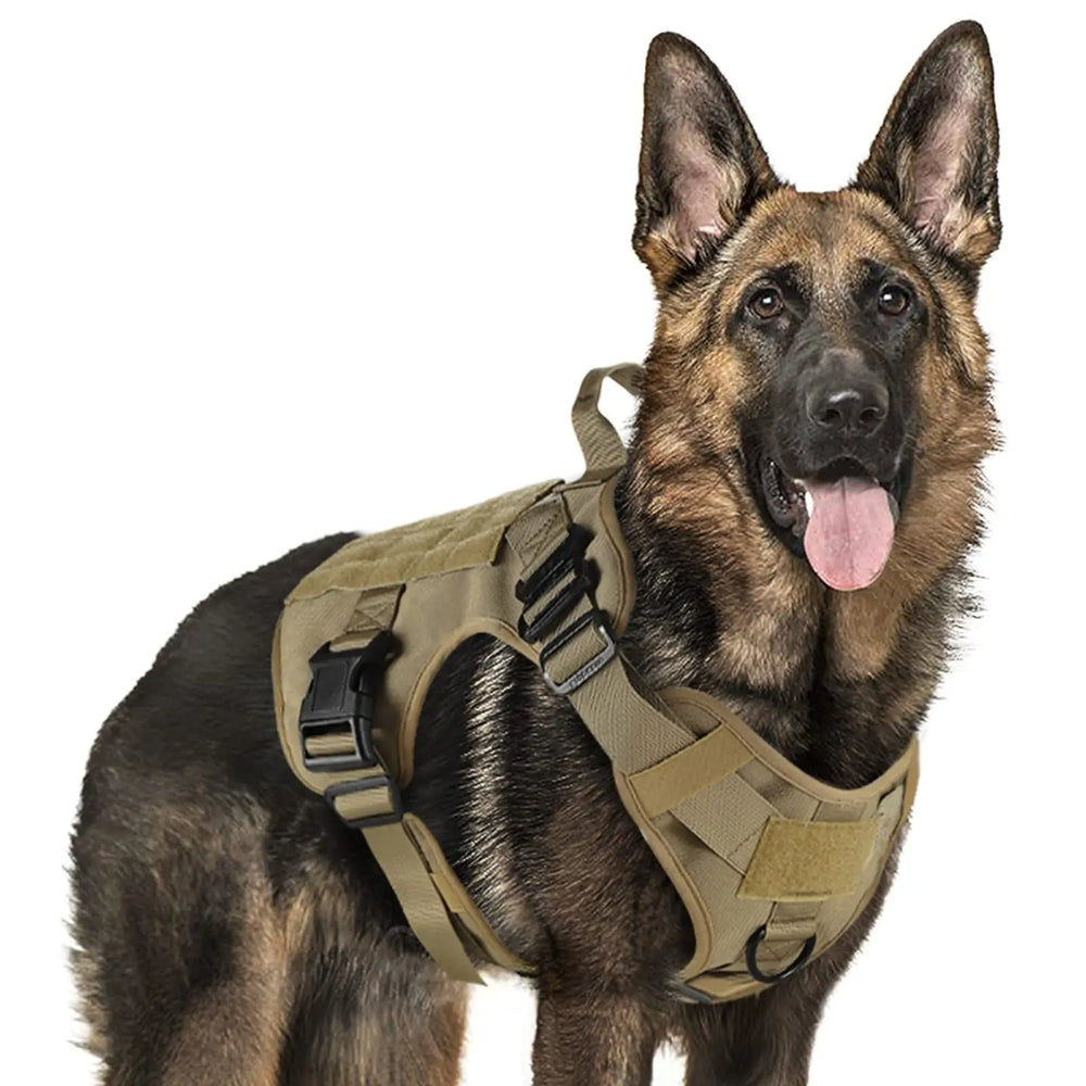 Heavy-Duty Military-Style Dog Harness