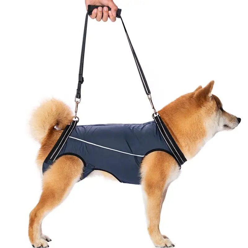 Dog Lift Harness for Injured & Senior Dogs with Arthritis