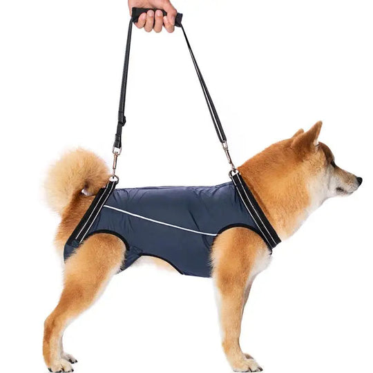 Dog Lift Harness for Injured & Senior Dogs with Arthritis