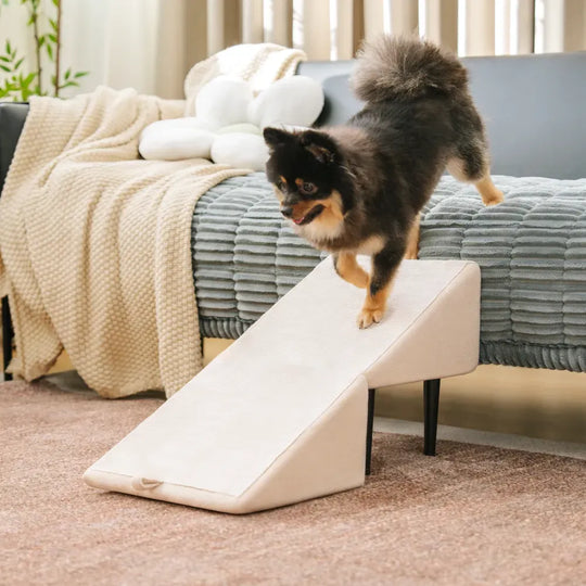 2-in-1 Dog Ramp and Step Stool