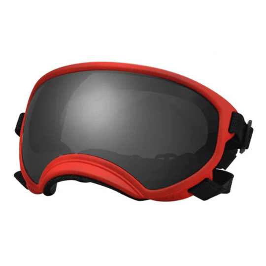 UV-Protective & Windproof Dog Sunglasses