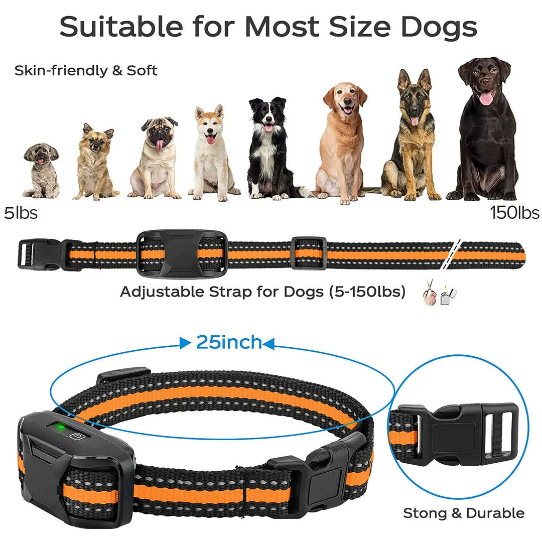 Electric Dog Training Collar