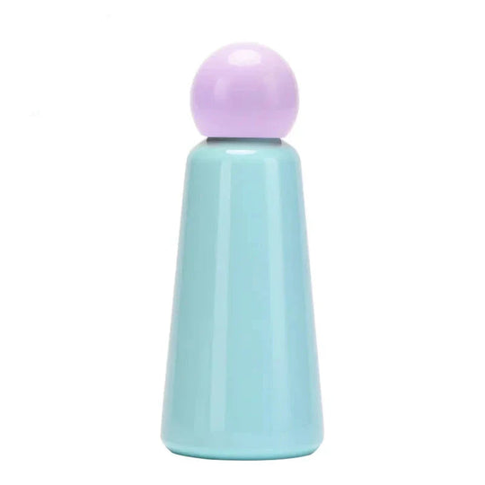 Stainless Steel Insulated Water Bottle
