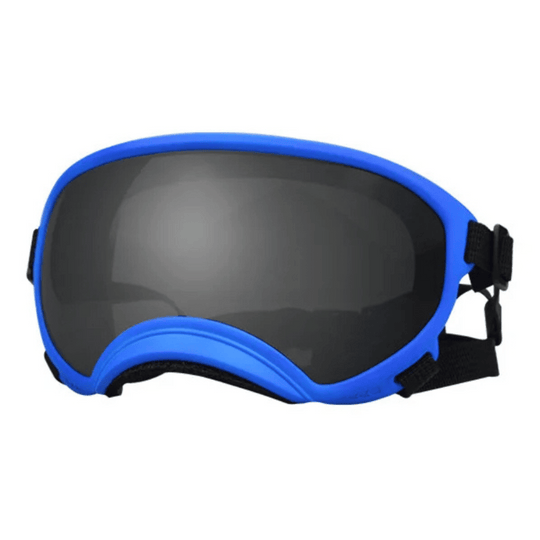 UV-Protective & Windproof Dog Sunglasses
