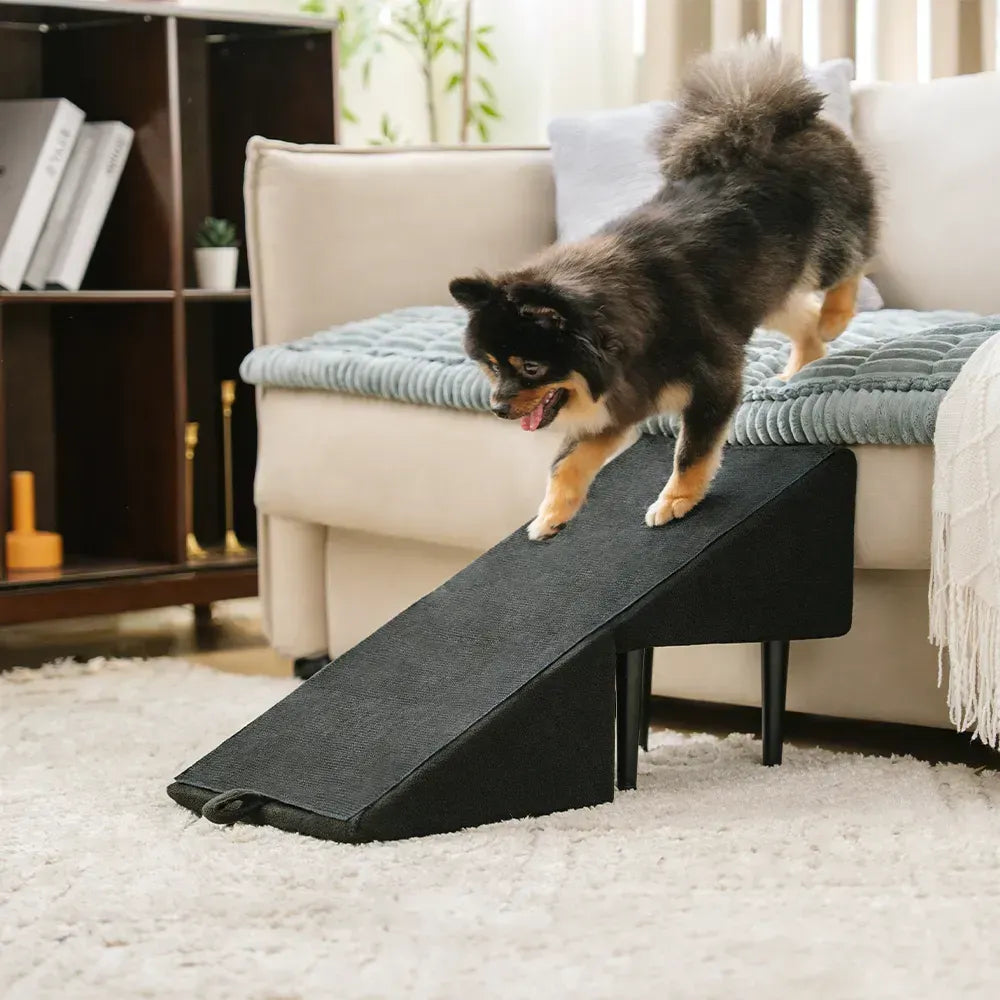 2-in-1 Dog Ramp and Step Stool