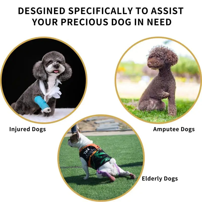 Dog Lift Harness for Injured & Senior Dogs with Arthritis