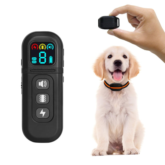 Training Collar for Small Dogs