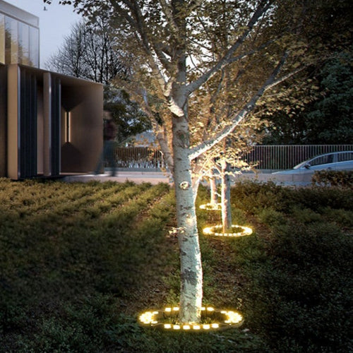 Outdoor Lighting Ring for Tree Illumination