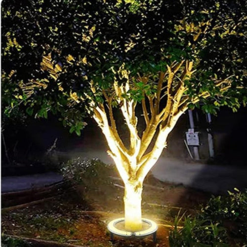 Outdoor Lighting Ring for Tree Illumination