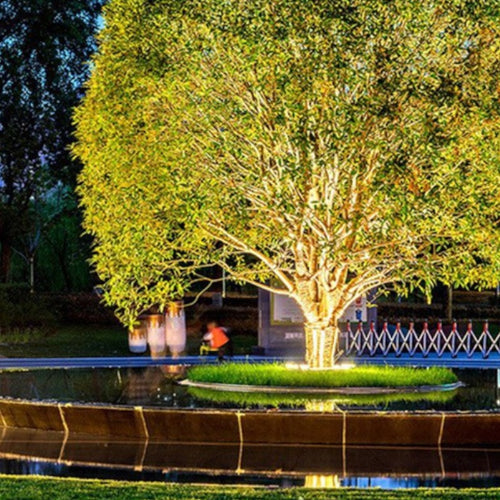 Outdoor Lighting Ring for Tree Illumination
