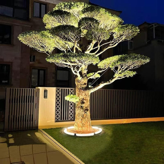 Outdoor Lighting Ring for Tree Illumination