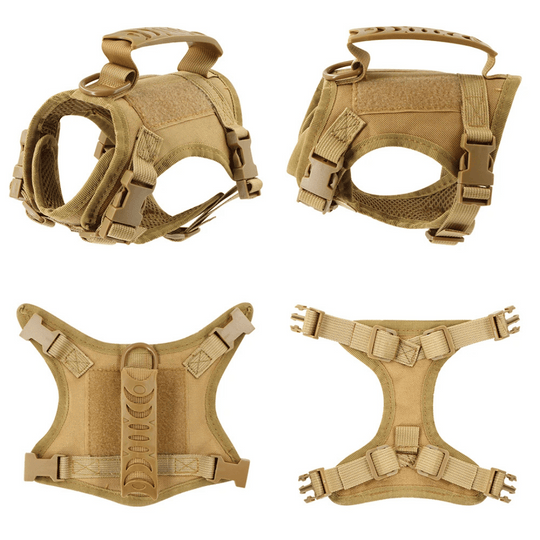 Military-Style Tactical Cat Harness & Leash
