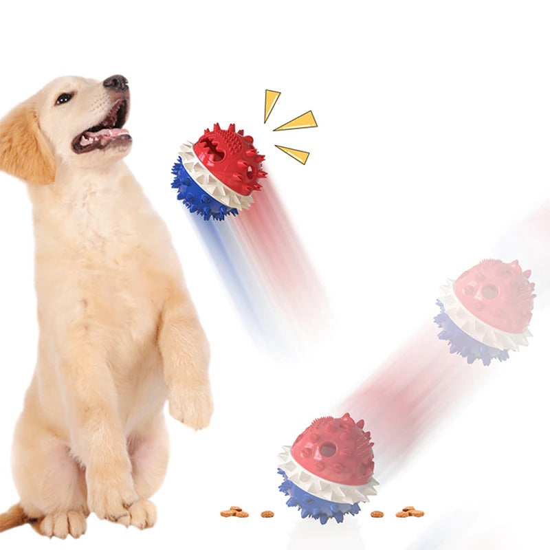 Interactive Self-Playing Pet Toy