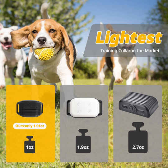 Training Collar for Small Dogs