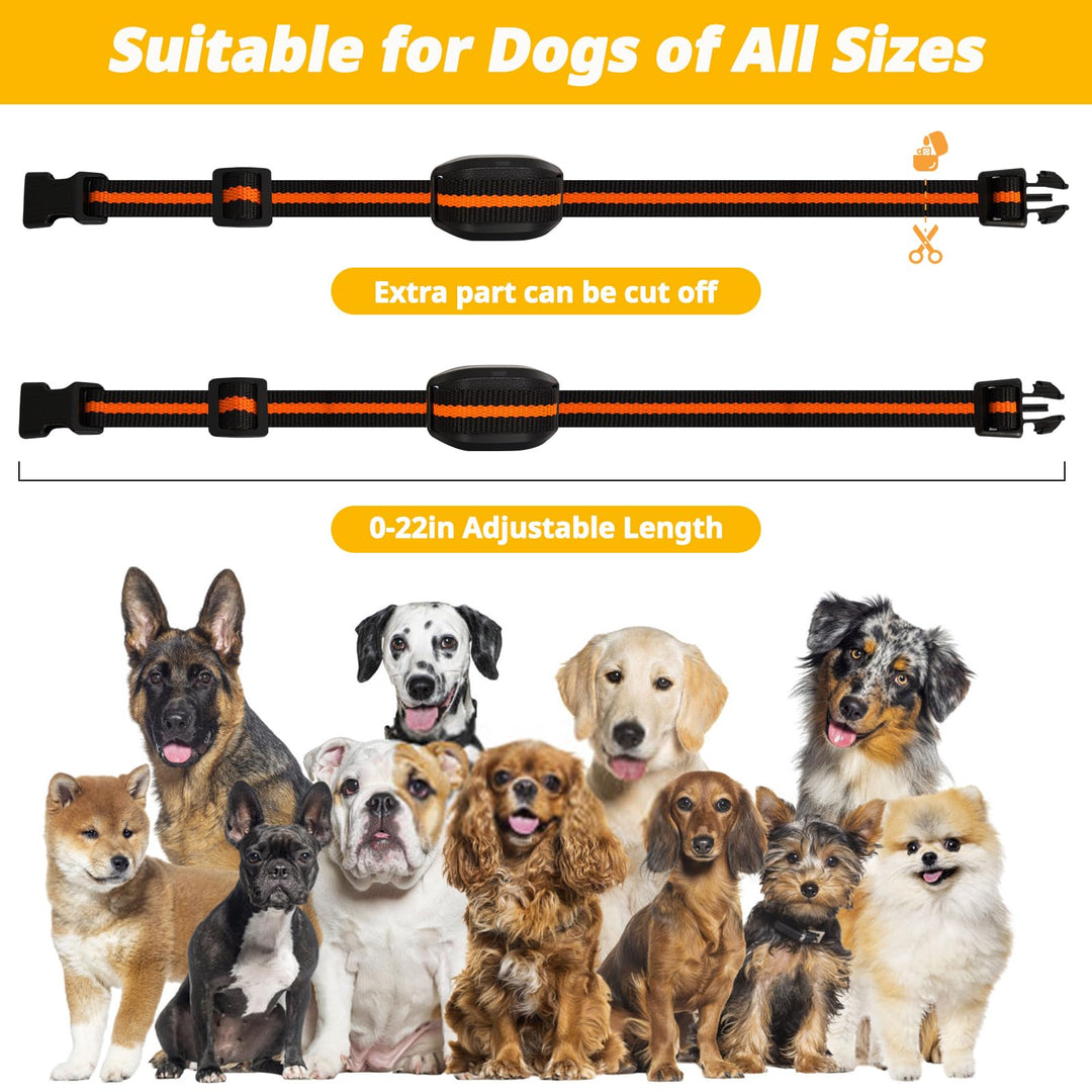 Training Collar for Small Dogs