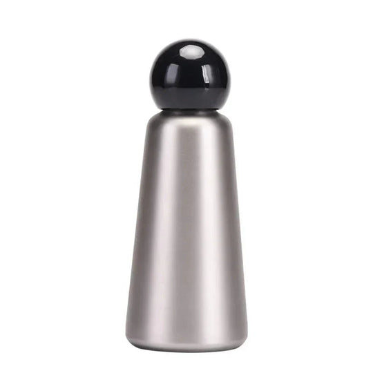 Stainless Steel Insulated Water Bottle