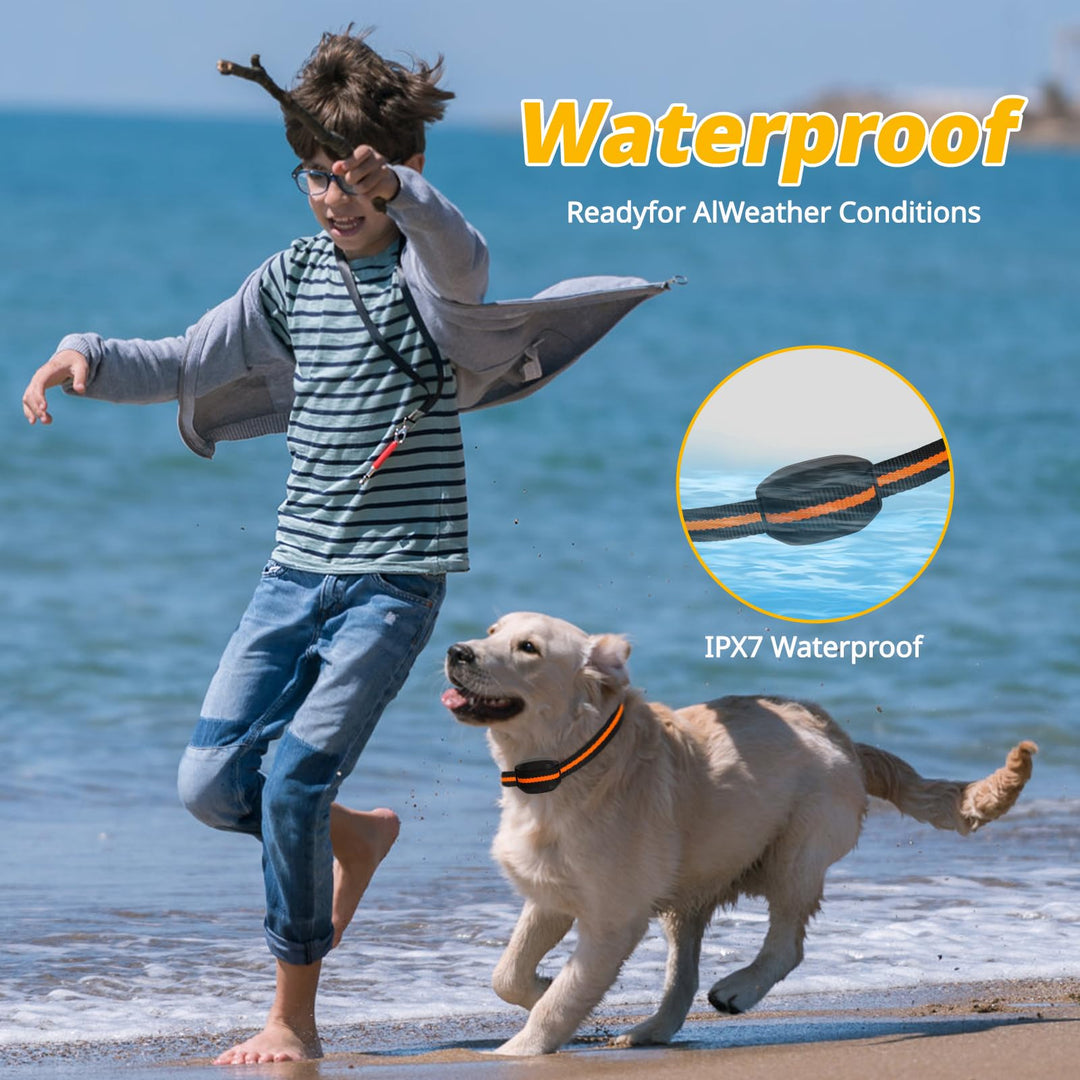 Training Collar for Small Dogs