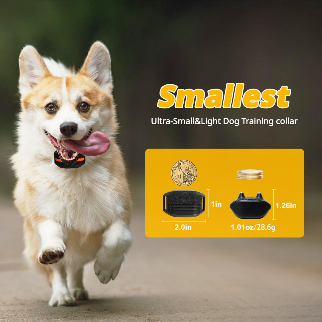 Training Collar for Small Dogs