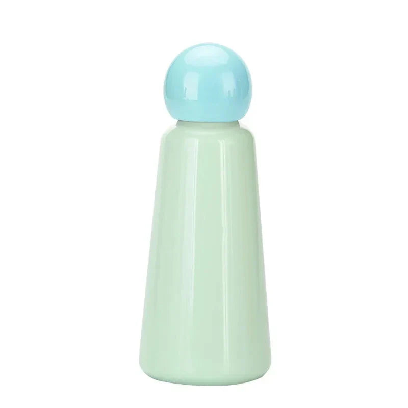 Stainless Steel Insulated Water Bottle