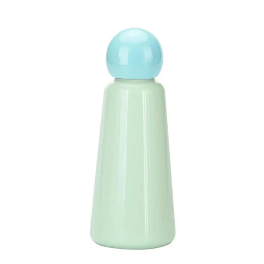 Stainless Steel Insulated Water Bottle