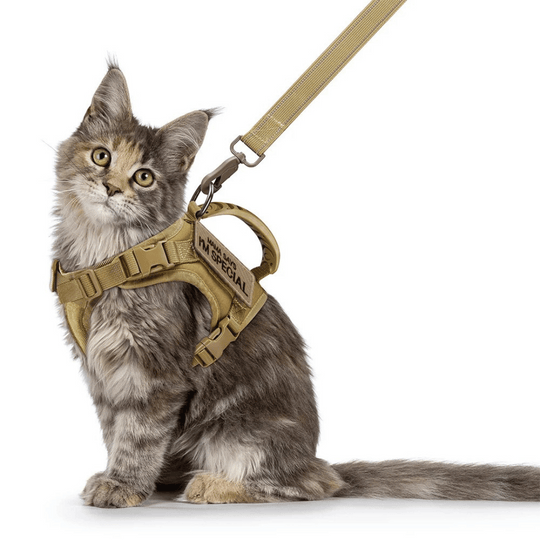 Military-Style Tactical Cat Harness & Leash