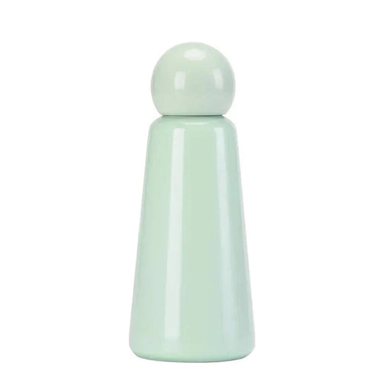 Stainless Steel Insulated Water Bottle