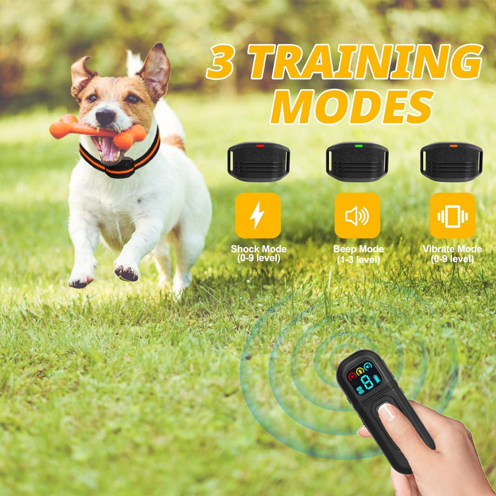 Training Collar for Small Dogs