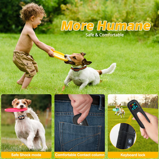 Training Collar for Small Dogs