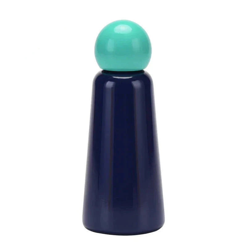 Stainless Steel Insulated Water Bottle