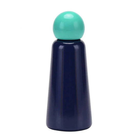 Stainless Steel Insulated Water Bottle