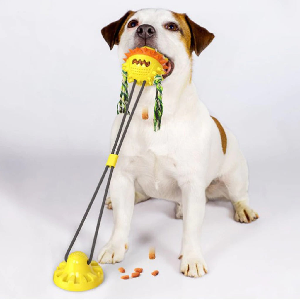 Interactive Self-Playing Pet Toy