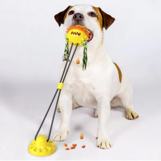 Interactive Self-Playing Pet Toy
