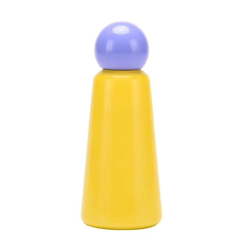 Stainless Steel Insulated Water Bottle