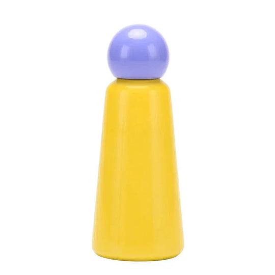 Stainless Steel Insulated Water Bottle