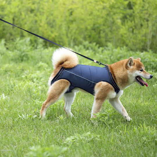 Dog Lift Harness for Injured & Senior Dogs with Arthritis